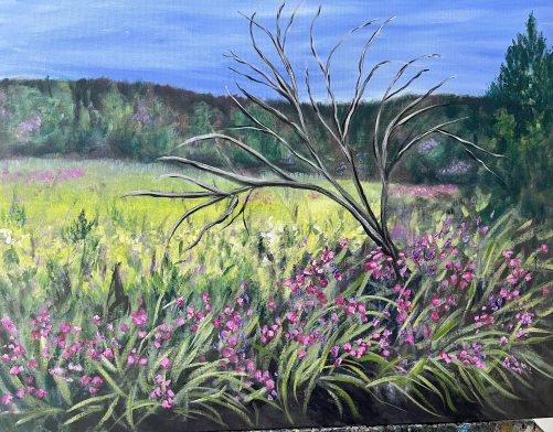 Field of Wild Flowers in Fairhaven Wetlands